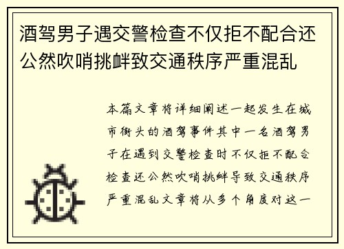 酒驾男子遇交警检查不仅拒不配合还公然吹哨挑衅致交通秩序严重混乱